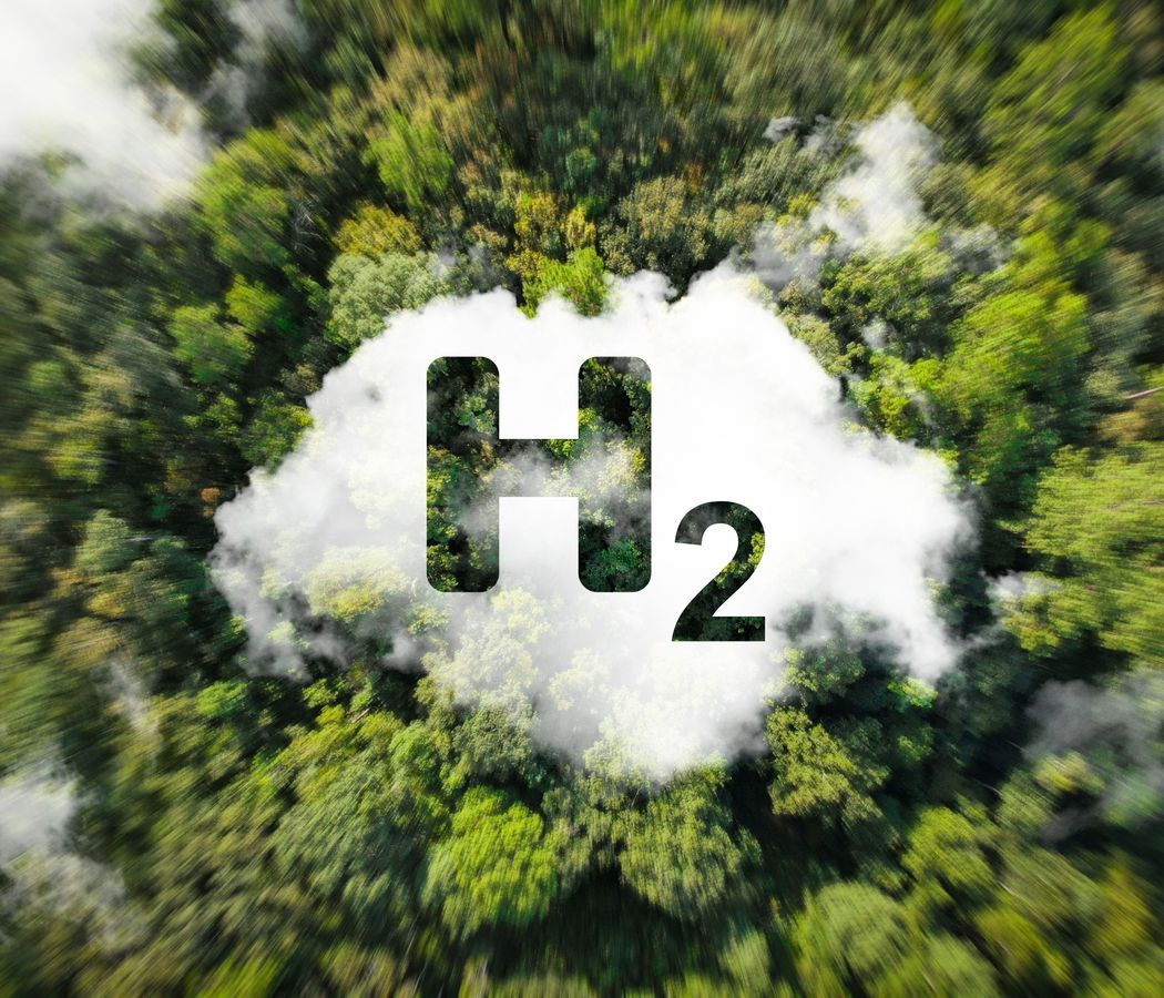 Slide_1